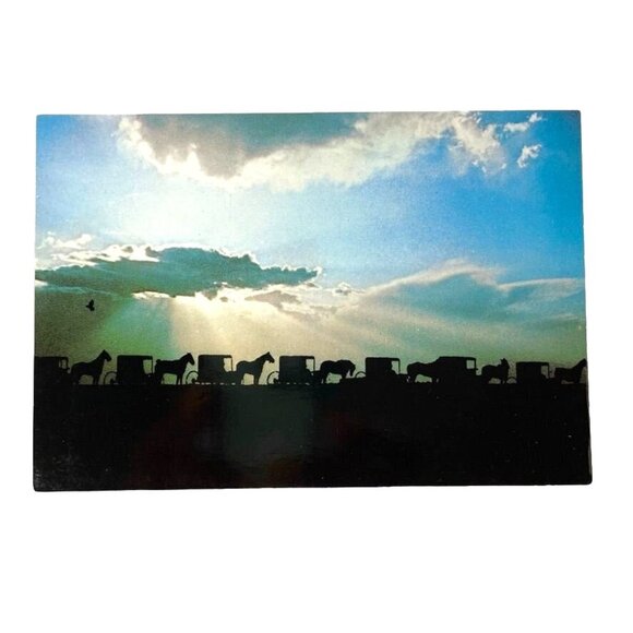 Vintage Postcard Amish Country Procession Horse Buggies Sunset u 1986 - Picture 1 of 2